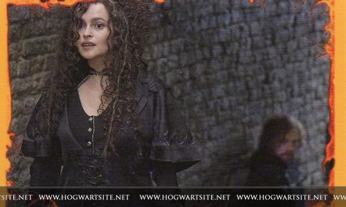 Harry Potter ve Ölüm Yadigarları: Bölüm 2 Fotoğrafı