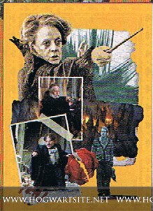 Harry Potter ve Ölüm Yadigarları: Bölüm 2 Fotoğrafı