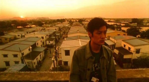 The New Option fotoğrafı