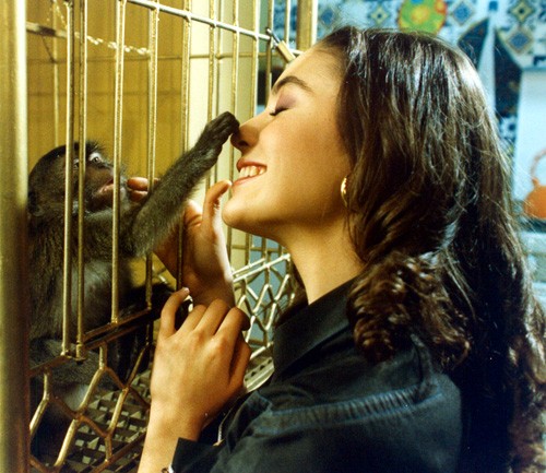 Viva La Scimmia Fotoğrafı