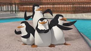 Madagascar Penguins fotoğrafı