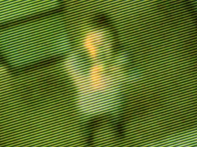 Persons Unknown Fotoğrafı