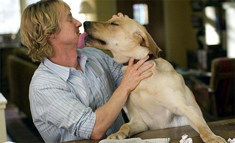 Marley ve Ben Fotoğrafı