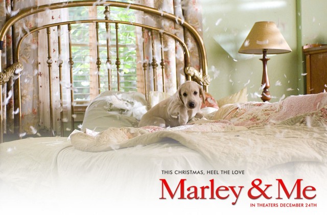 Marley ve Ben Fotoğrafı