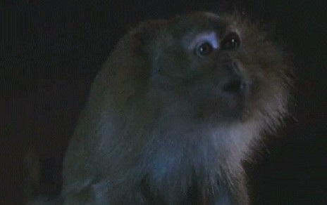 Üçüncü Anne Fotoğrafı