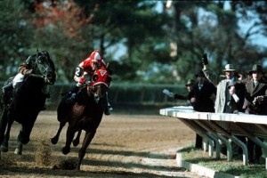 Zafer Yolu Fotoğrafı