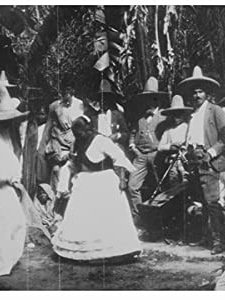 Jarabe Tapatío (1896) afişi