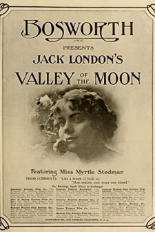 The Valley Of The Moon (1914) afişi