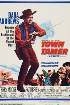 Town Tamer (1965) afişi