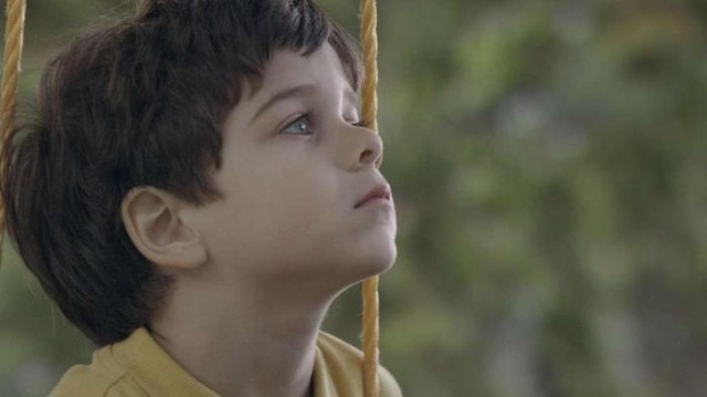 Çınar Ağacı Fotoğrafı