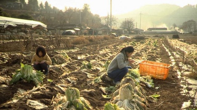 Mama And Papa Fotoğrafı