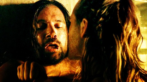 Spartacus: Gods Of The Arena Fotoğrafı