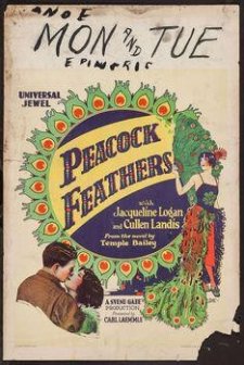 Peacock Feathers (1925) afişi
