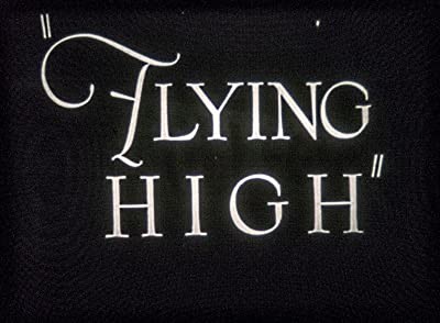 Flying High (1929) afişi