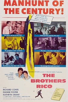 The Brothers Rico (1957) afişi
