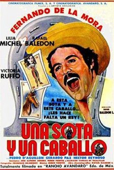 Una Sota Y Un Caballo: Rancho Avándaro (1982) afişi