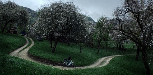 Boğaziçi'nin galibi 'Patika' oldu