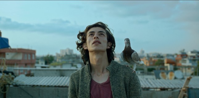 Engelsiz Filmler Festivali 7. Kez Sinemaseverlerle Buluşuyor!