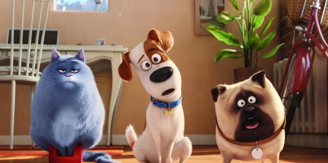 'Evcil Hayvanların Gizli Yaşamı 2' Animasyon Filminden Türkçe Dublajlı Fragman Geldi