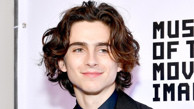 Timothée Chalamet fotoğrafı