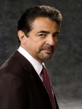 Joe Mantegna fotoğrafı