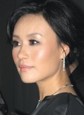 Vivian Wu fotoğrafı