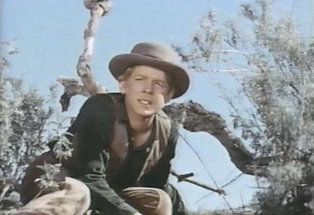 David Stollery Fotoğrafı