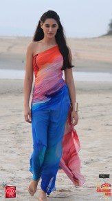 Nargis Fakhri Fotoğrafı