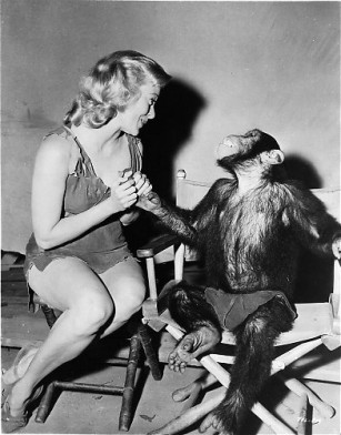 Eve Brent Fotoğrafı