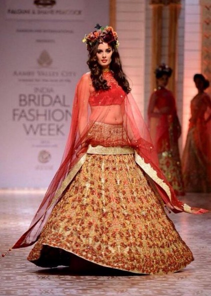 Evelyn Sharma Fotoğrafı