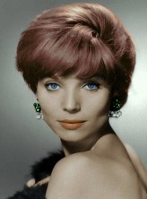 Elsa Martinelli fotoğrafı