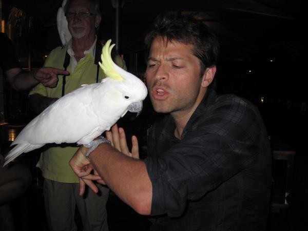 Misha Collins Fotoğrafı
