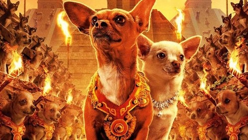 Beverly Hills Chihuahua 2 Fotoğrafları 1