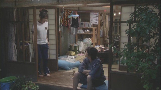 Bir Ateş Böceği Parıltısı Fotoğrafı