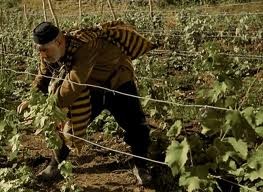 Askerin Babası Fotoğrafı