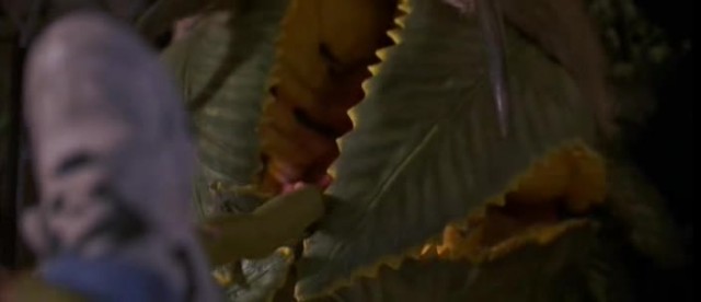Jumanji Fotoğrafı