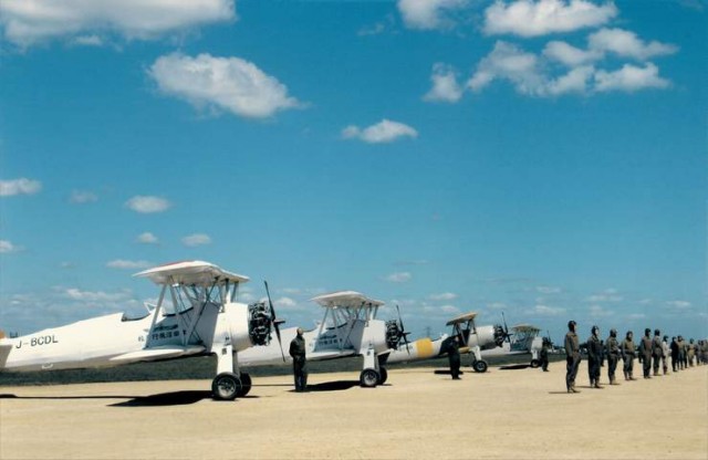 Blue Swallow Fotoğrafı