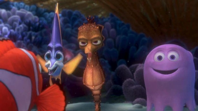 Kayıp Balık Nemo Fotoğrafı