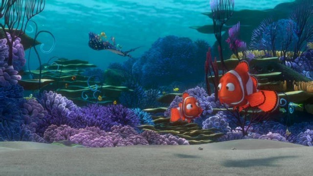 Kayıp Balık Nemo Fotoğrafları 63