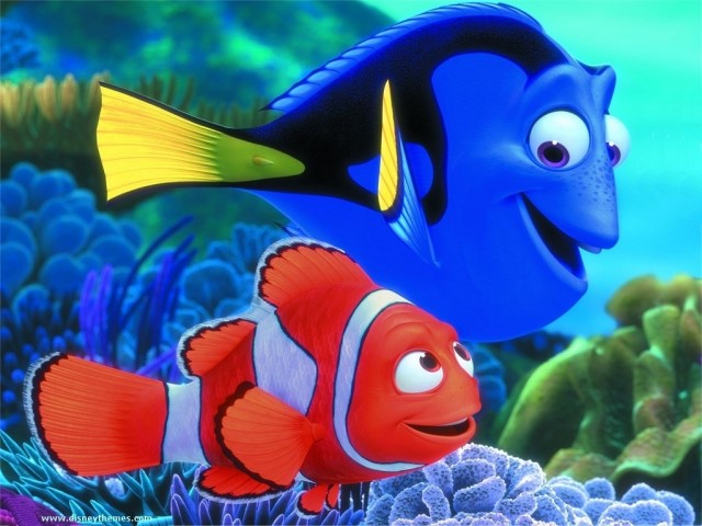 Kayıp Balık Nemo Fotoğrafları 66