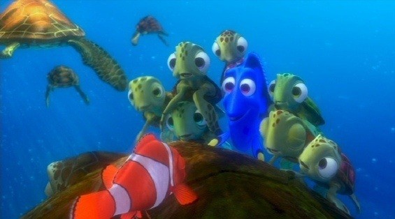 Kayıp Balık Nemo Fotoğrafı