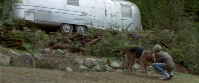 Bad Moon Fotoğrafı