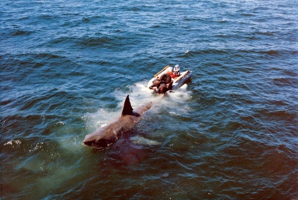 Jaws Fotoğrafları 43