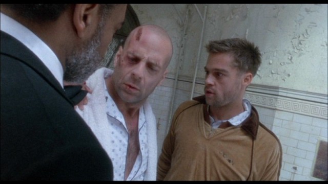 12 Maymun Fotoğrafı