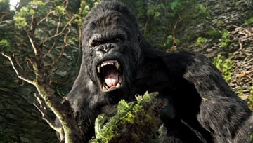 King Kong Fotoğrafı