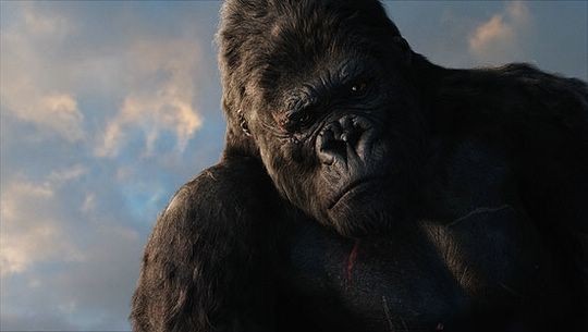 King Kong Fotoğrafları 61