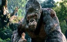 King Kong Fotoğrafları 67