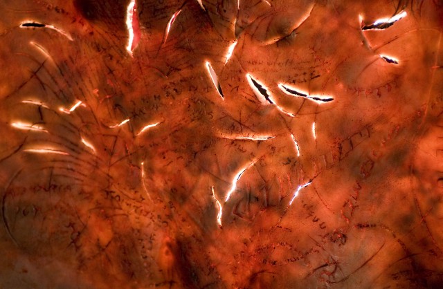 Clive Barker'dan Kan Kitabı Fotoğrafı