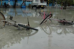 Tsunami Felaketin Ardından Fotoğrafları 4