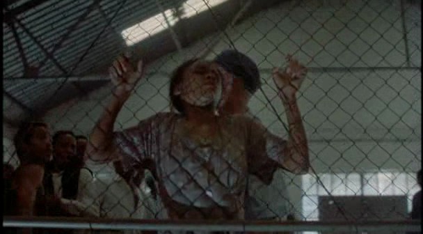 Sarafina! Fotoğrafı